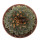 ARIOCARPUS kotschoubeyanus, illustrative photo