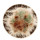 CIPOCEREUS crassisepalus, illustrative photo