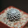 MAMMILLARIA luethyi, own roots, rooted offset