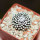 MAMMILLARIA luethyi, own roots, rooted offset