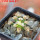 MAMMILLARIA bertholdii GCG 10006, SEEDLING