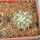 COPIAPOA columna - alba GCG 15329b, f. white spines ex Gerardo Snicer, 5 cm pot, seedling
