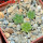 AZTEKIUM valdezii GCG 10893, own roots, 5 cm pot, 3 pcs. SEEDLINGS