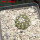 COPIAPOA columna - alba GCG 15329b, f. white spines ex Gerardo Snicer, 6,5 cm pot, seedling