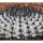 COPIAPOA cinerea f. australis GCG 16796, copyright Gerardo, illustrative photo