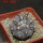 COPIAPOA columna - alba GCG 15015,  L35 entronque 2., 5 cm pot, SEEDLING 