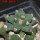 ARIOCARPUS furfuraceus cv. Zonge Batan, 7 cm pot, grafted offset