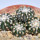 DISCOCACTUS horstii, 1 pot 6,5 cm